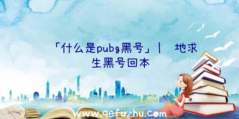 「什么是pubg黑号」|绝地求生黑号回本